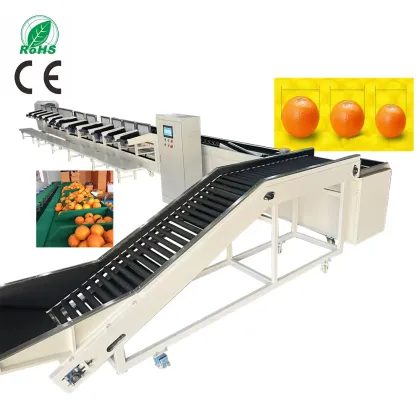Cucumber and Citrus Dried Anchovy Weight Sort Machine Manufacturer