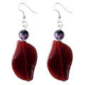 Natural Gemstone Agate Earring