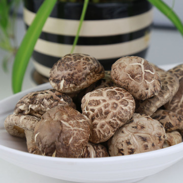 Whole Dried White Flower Shiitake Mushrooms