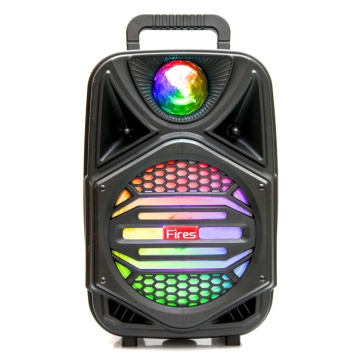 8 Inch Bluetooth Portable Rechargeable Trolley Karaoke Amplifier Speaker