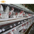 Haiao High Security Poultry Cages Chicken Layer Cage