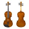 High quality spruce maple violin with case