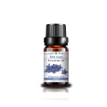 High Quality Blue Tansy Oil for Skin Care