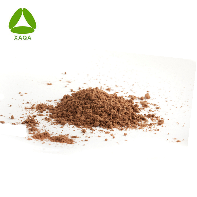 Natural 10: 1 Planta Phellinus Igniarius Extract Powder