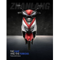 Model przetargu rządowego ASEAN | 800W E-Motorcycle anty-korozji