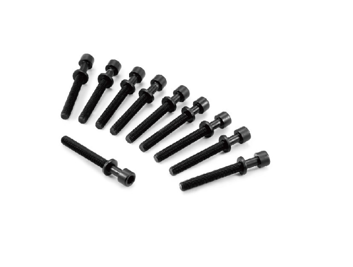 81029500 BOLT CYLINDER HEAD