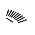 81029500 BOLT CYLINDER HEAD