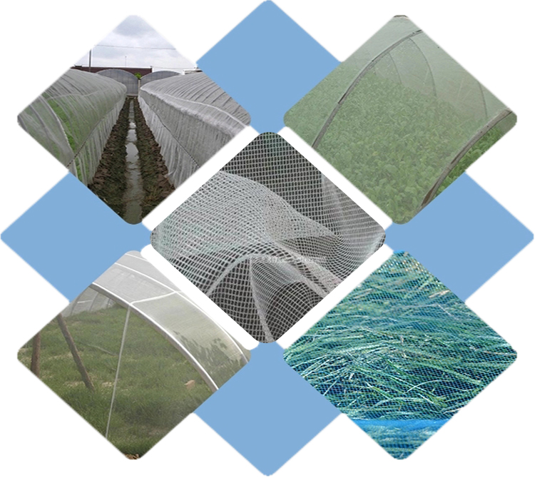 Anti Insect Net2