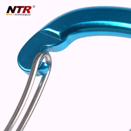 NTR flat wire gate aluminium & magnesium ally carabiner