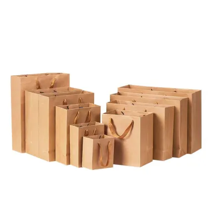 Biodegradable Kraft Paper Carry Bags