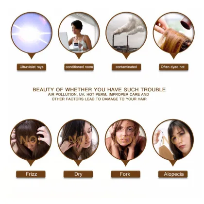 Organic Natural Herbal Anti-Hair Loss Ginger Shampoo Set