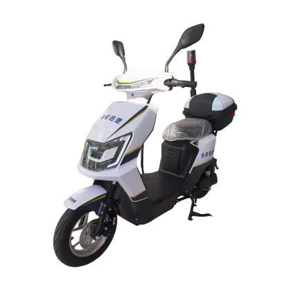 Police patrol electric bicycles