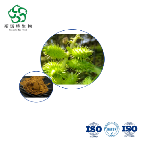 Xanthium Strumarium Extract Bulk Buy for Nutraceuticals