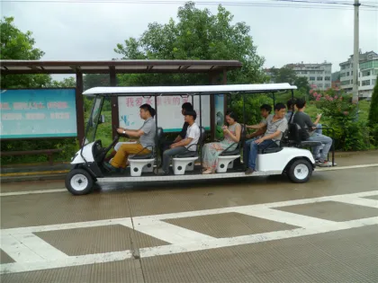 Gasoline Golf cart sightseeing cars/bus