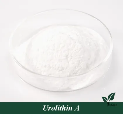 Urolithin A of Antibacterial ingredients