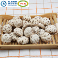 Vente chaude bon marché Tianbai Flower Mushroom
