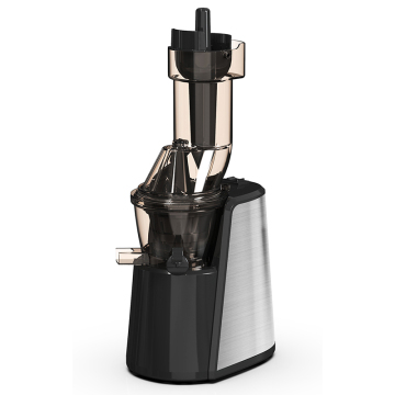 OEM Logo Multi-Function Cold Press Masticating Juice Extractor Machine