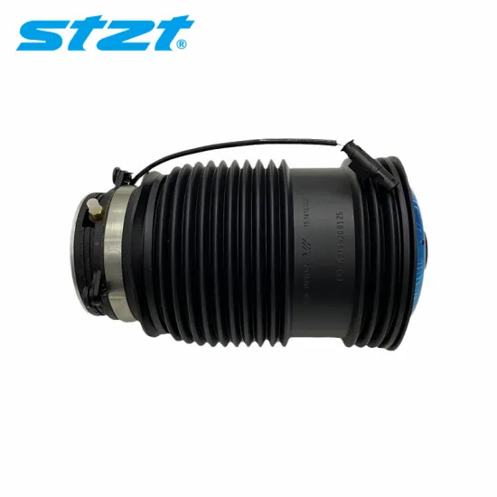 New Rear Left Air Spring for Mercedes Benz W213 OE 2133200125