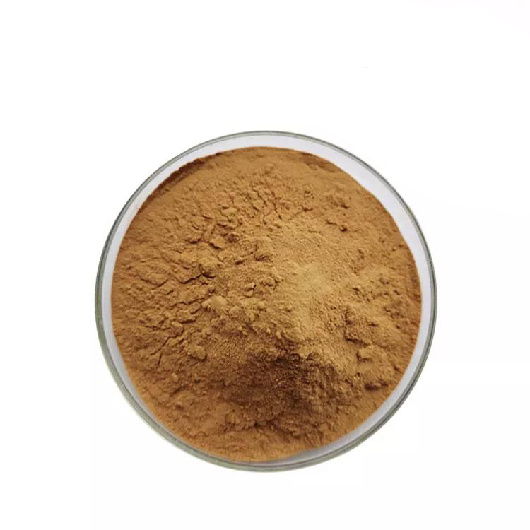 100% pure organic Reishi Mushroom Extract