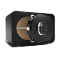 GELD SMART SAFE MINI VINGERPRINT SUBS