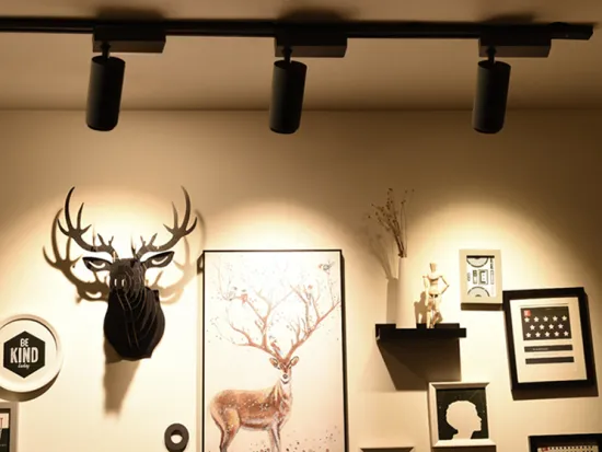 Track lights for the Museum of Cultural Relics