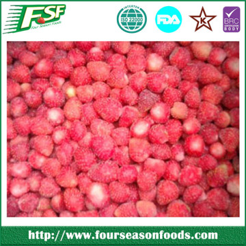 Continued hot 2016 iqf strawberries fruits