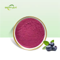 Organic Blueberry Powder Blueberry Fruit Powder Blueberry Extract