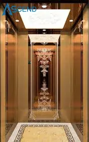 Modern Passenger Elevator with Unique Machine Room Design