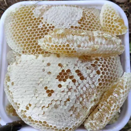 Honey