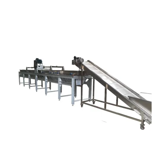 High Quality Apricot Grader: Fruit Sorting Machine Calibration & Sizing