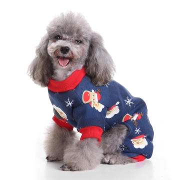 Aiberry Halloween Wizard dog clothes dog costume