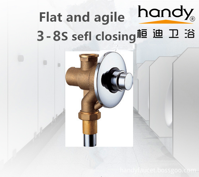 Flush Valve self closing 