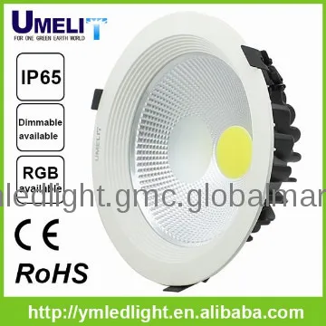 downlight led bridgelux
