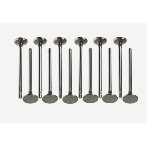 High Performance Exhaust Valve