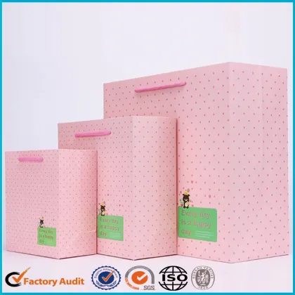 2017 New Gift Paper Bags Template Design