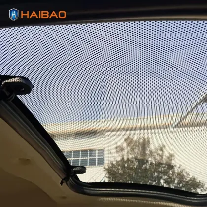 HAIBAO Brand 3 Wheeler Electric Car for Adults and Seniors