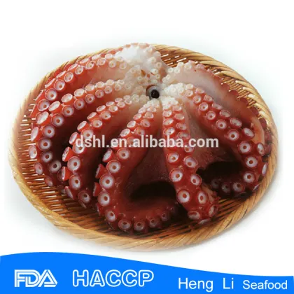 Frozen Octopus, Octopus Vulgaris,Octopus Ocellatus