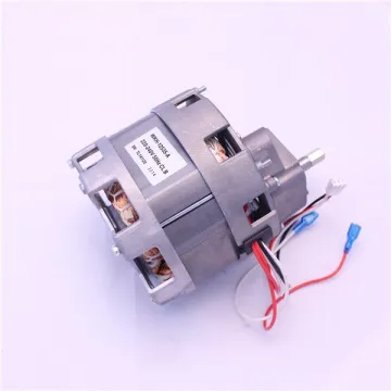 AC induction motor fruit slow juicer