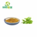 Lemon balm extract​ powder​