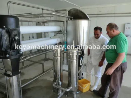 Whey concentration system