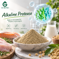 البروتياز القلوي لتكسير البروتين في معالجة الأعلاف