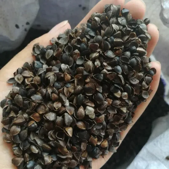 Chinese Buckwheat kernel and buckwheat husk