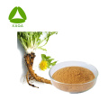 Liver Health Dandelion Root Extract Flavonoids 2%-10% Powder