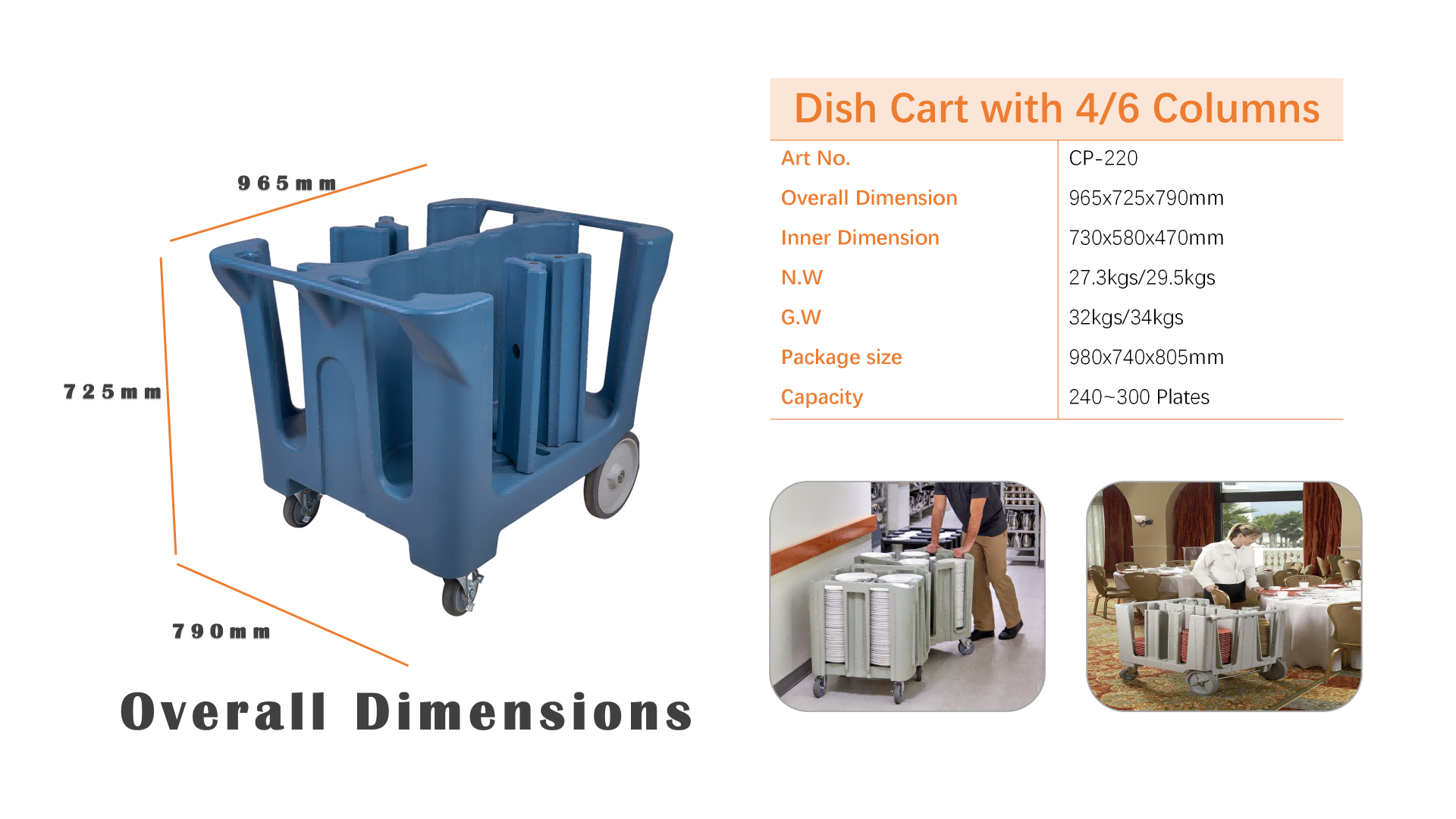 cambro (4)