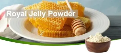 Lyophilized Royal Jelly Freeze Dried Royal Jelly Powder