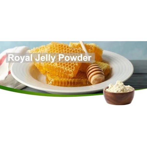 Lyophilized Royal Jelly Freeze Dried Royal Jelly Powder