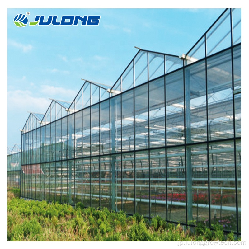 農業ガラス温室トマト水耕栽培スマートファーム