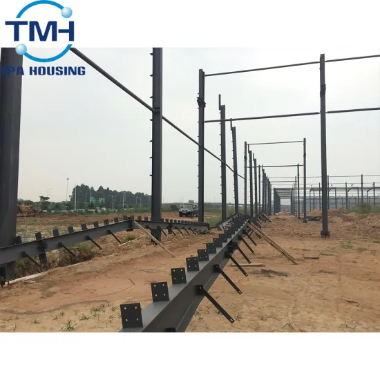 construction desgin building steel structure double span