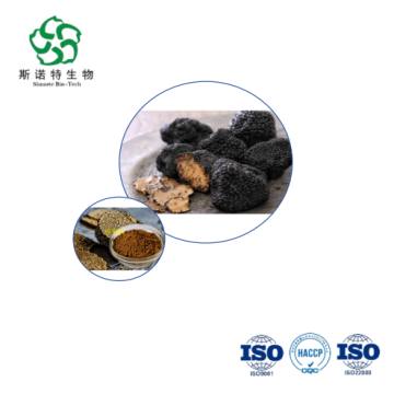Fresh Black Truffle & Extract Bulk 10:1 Powder