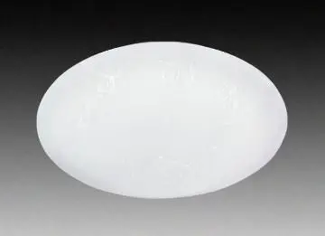 Home  decoration acrylic ceiling lamp